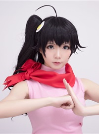 Star's Delay to December 22, Coser Hoshilly BCY Collection 9(84)